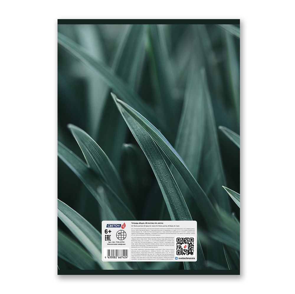 Тетрадь ученическая общая, A4 48 л. на скобе 65 г/м², белизна 100% 6 шт клетка, 01753 Малахитовая симфония, Светоч Т152