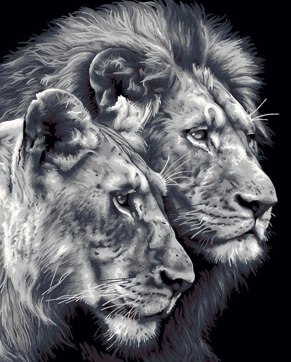 Картина по номерам Фрея PNB/PL-367, Черно-белые львы, 50х40 см