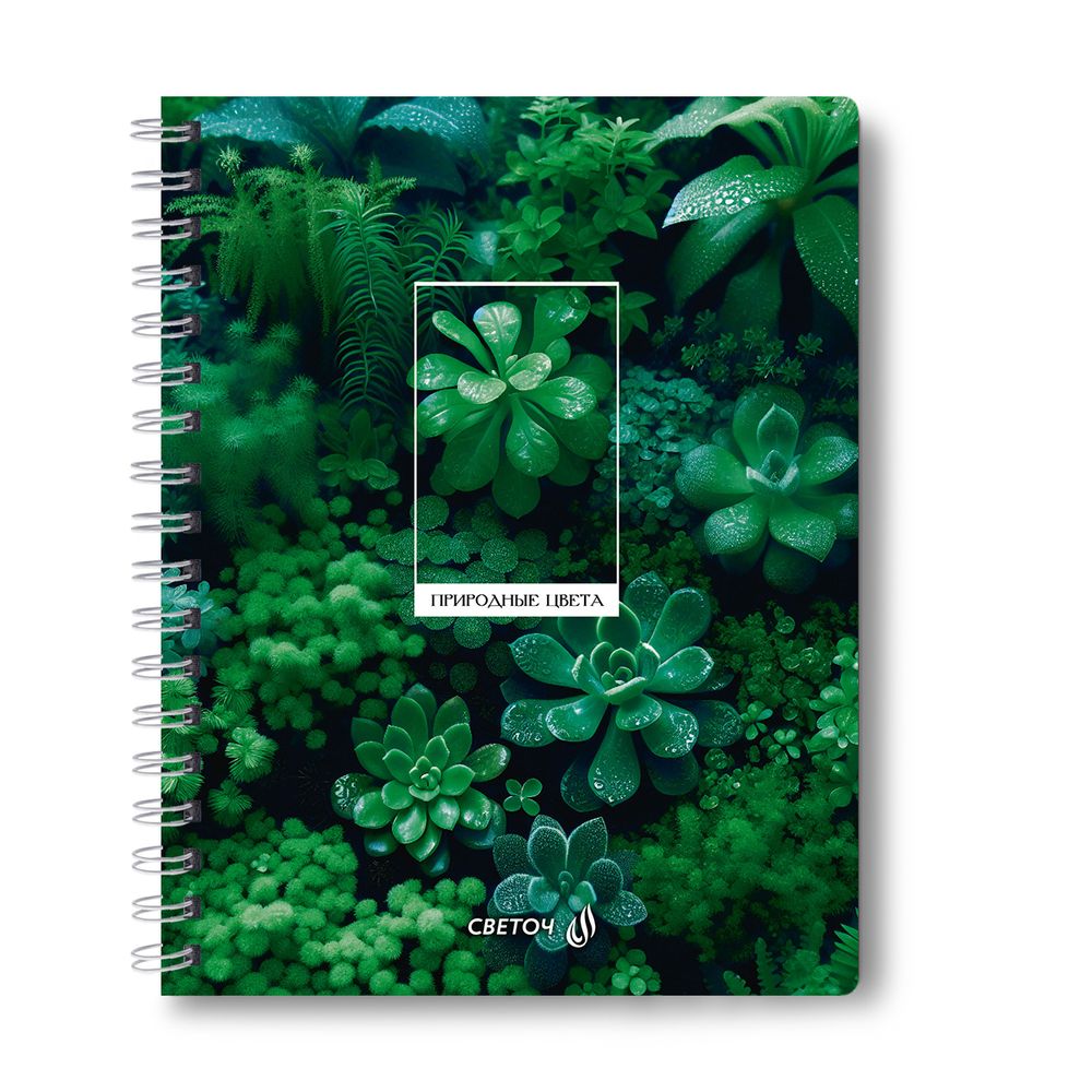 Тетрадь ученическая общая с двойной обложкой, A5 96 л. на гребне 65 г/м², белизна 100 %, 4 шт, клетка, 01209 Грани прекрасного, Светоч Т118