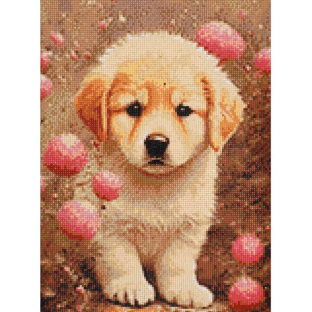 Алмазная (кристальная) мозаика Cristyle, Щенок лабрадора, 30х40 см