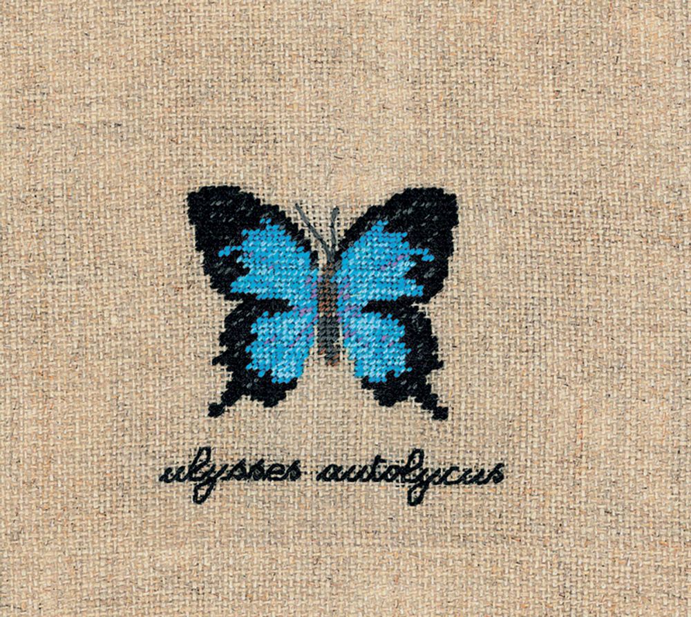 Le Bonheur des Dames, Papillons Ulysses Autolycus (Бабочка Ulysses Autolycus), 5х5,5 см