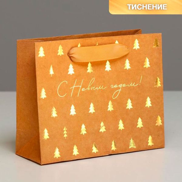 Пакет крафтовый горизонтальный 