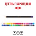 Набор цветных карандашей заточенный 4х36 цв, Vista-Artista INTENSE VICP-36