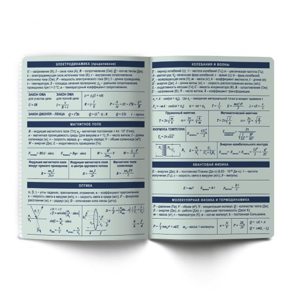 Тетрадь со справочным материалом Лёгким почерком, софт-тач ламинация, A5 48 л. на скобе 65 г/м², белизна 100% 10 шт, клетка, 01841 Лёгким почерком Физика, Светоч Т284