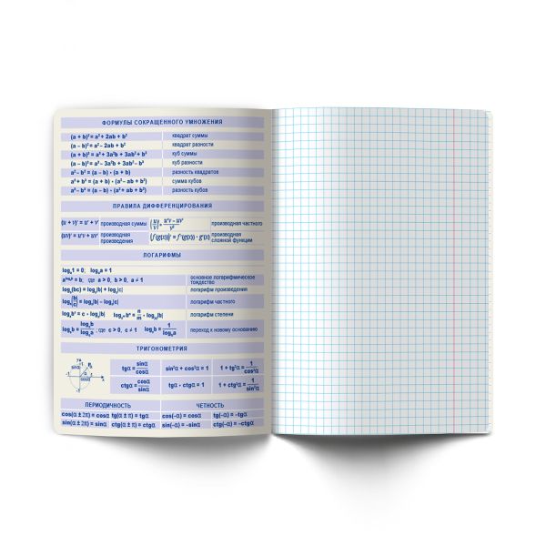 Тетрадь со справочным материалом Безупречный стиль, A5 48 л. на скобе 60 г/м², белизна 90 %, 10 шт, клетка, 01284 Безупречный стиль Алгебра, Светоч Т139