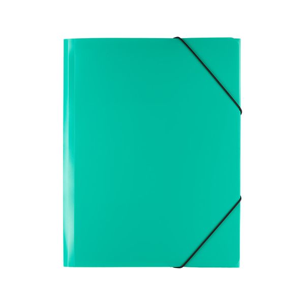 Папка на резинке Classic Lite А4, 450 мкр, 35 мм, песок, 5 шт, зеленый ЕС2344453, Expert Complete