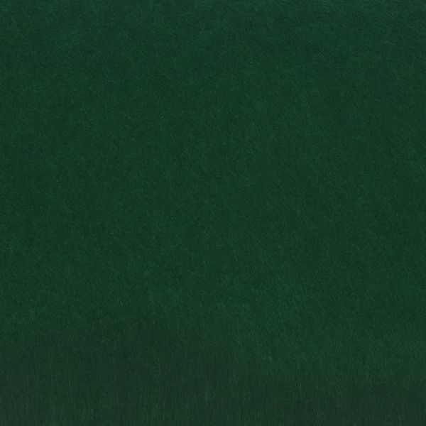 Фетр листовой жесткий 1.0 мм, 20х30 см, 5 шт, 049 т.зеленый, Blitz FKH10-20/30