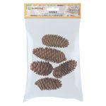 Шишки, 5 шт, 01 Ель, Blumentag CIF-01