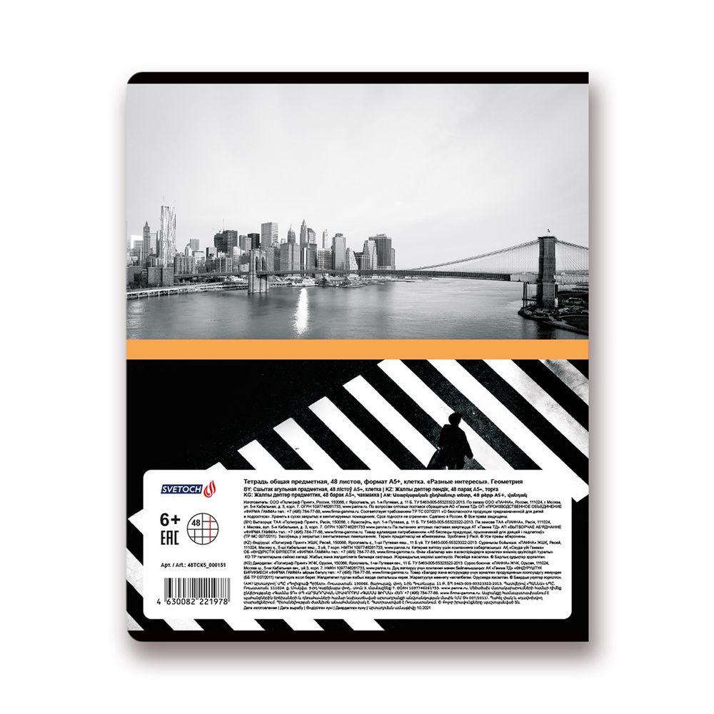 Тетрадь предметная Разные интересы A5+ 48 л. на скобе, 10 шт, клетка, Геометрия 48ТСК5 000151, Светоч