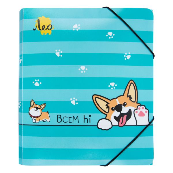 Папка на резинке A4 LRF-06 450 мкм 35 мм, песок, 5 шт, 04-Корги, Лео LRF-06