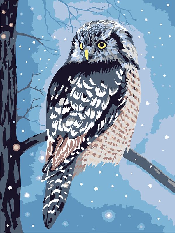 Картина по номерам Фрея PKZ/PM-091, Сова в сумерках, (на картоне) 40х30 см