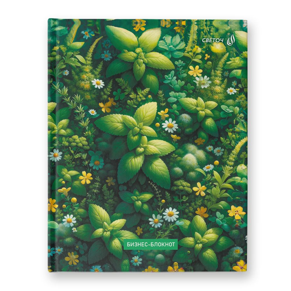 Бизнес-блокнот A5+ 80 л. 22 шт, клетка, глянцевая ламинация, Вдохновение природой 01159, Светоч ББ98