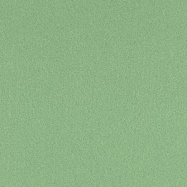 Фетр листовой мягкий 1.0 мм, 33х53 см, RN47 бл. зеленый, Gamma FKR10-33/53