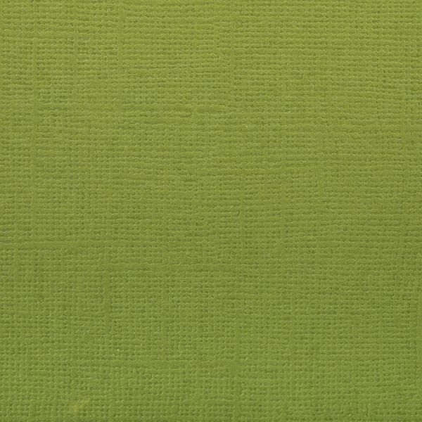 Бумага для скрапбукинга 216 г/м², 30.5х30.5 см, 10 шт, 58 Сочный лайм (ярко-зелёный), Mr.Painter PST