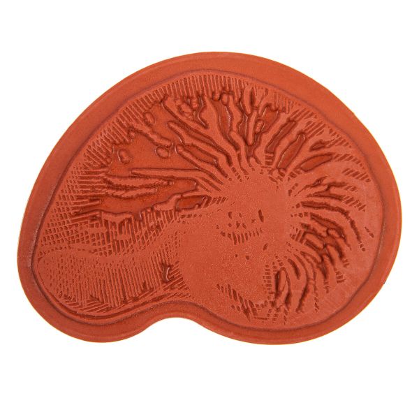 Штамп 5.8х5.8 см, 07 Морская раковина, Mr.Painter TSM-03