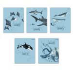 Тетрадь ученическая общая, софт тач, A5+ 96 л. на скобе, белизна 100%, 5 шт, клетка, 000352 Подводная одиссея, Светоч 96ТСК5_12_3_1