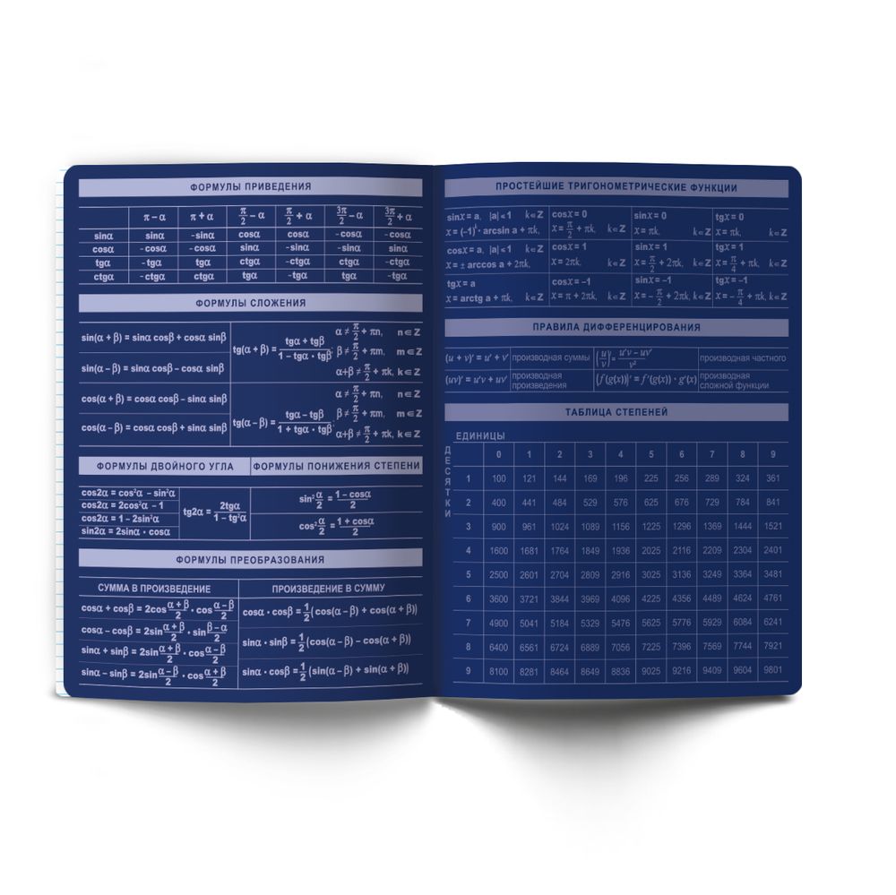 Комплект тетрадей со справочными материалами Золотые главы, тисн.золот.фольгой, A5 48 л. 12 шт на скобе 65 г/м², белизна 100% 1 шт, клетка/линия, 01887 12 предметов, Светоч Т298