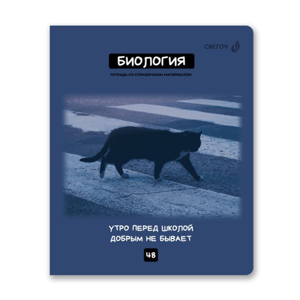 Комплект тетрадей со справочными материалами Мраксимализм, A5 48 л. 12 шт на скобе 60 г/м², белизна 90% 1 шт клетка/линия, 01890 12 предметов, Светоч Т292