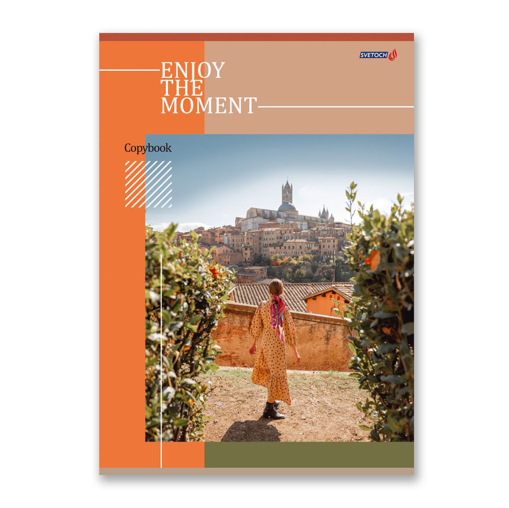 Тетрадь ученическая общая, матовая ламинация, A4 80 л. на скобе 65 г/м², белизна 100%, 6 шт, клетка, 000462 Лови момент, Светоч 80ТСК4_2_2_1