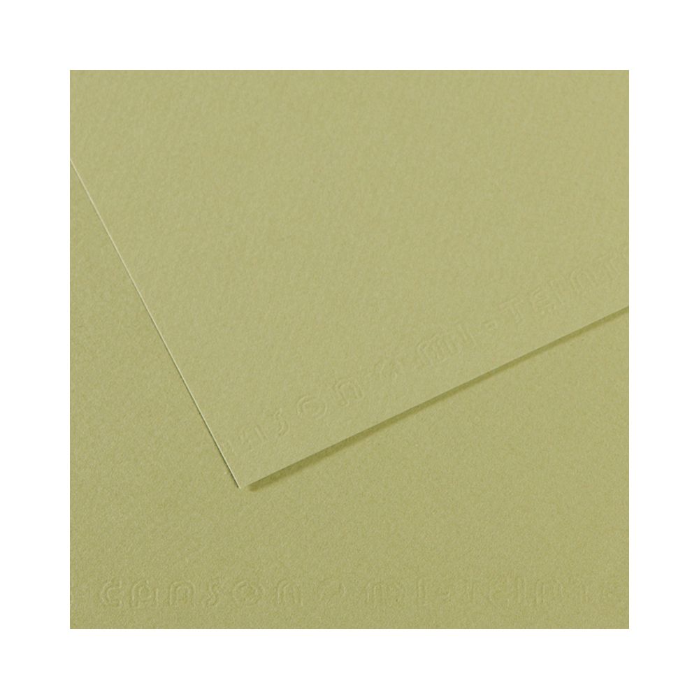 Бумага для пастели 160 г/м², 75х110 см, 25 листов, №480 светло-зеленый, Canson Mi-Teintes C200321167