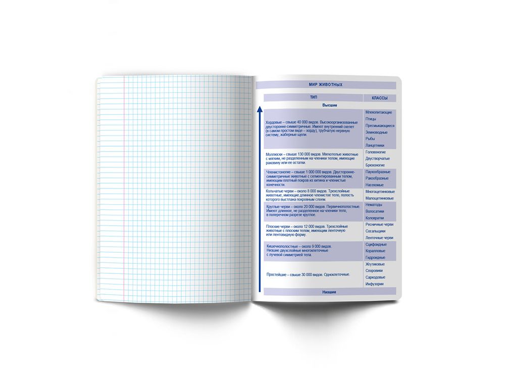 Тетрадь со справочным материалом Без фильтров, A5+ 48 л. на скобе 60 г/м², белизна 90%, 10 шт, клетка, 00841 Биология, Светоч 48Т1