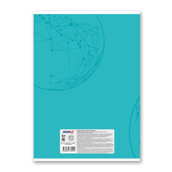 Тетрадь ученическая общая, матовая ламинация, A4 80 л. на скобе 65 г/м², белизна 100%, 6 шт, клетка, 000463 Спокойствие, Светоч 80ТСК4_2_2_1