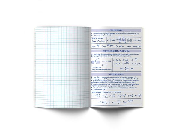 Тетрадь со справочным материалом Линия успеха, софт тач ламинация + тиснение фольгой, A5+ 48 л. на скобе 65 г/м², белизна 100%, 10 шт, клетка, 000578 Физика, Светоч 48ТПСК5_126_2_1