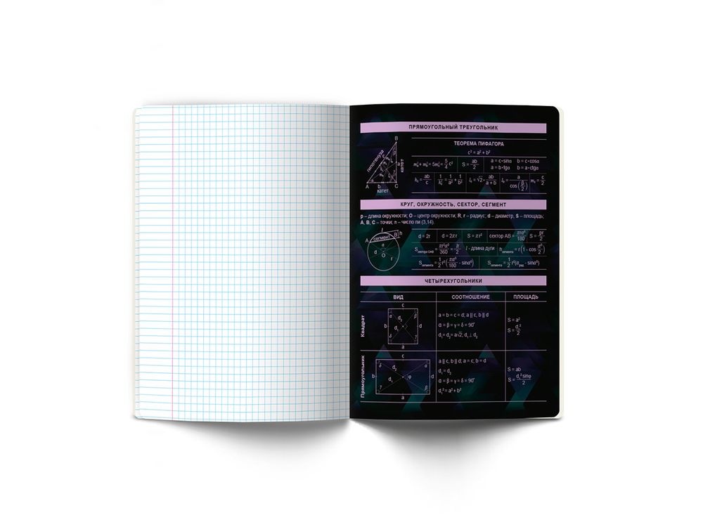 Тетрадь со справочным материалом Эволюция, глянцевая ламинация, A5+ 48 л. на скобе 65 г/м², белизна 100%, 10 шт, клетка, 00879 Геометрия, Светоч 48Т5
