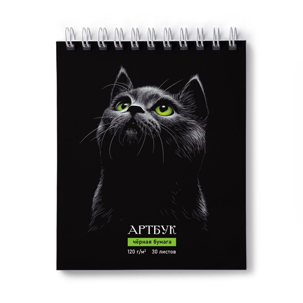 Артбук (Скетчбук), блок черный, жесткая подложка, 120 г/м², 175х200 мм, на гребне 30 л. 2 шт, Нуар 01942, Светоч А307