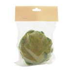 Декоративные элементы из коры дерева "Яблоко", 7см, 8 шт, зеленый