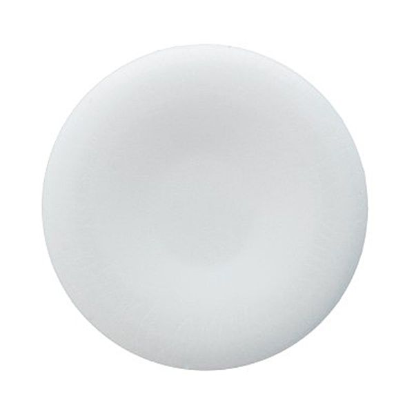 Пуговицы на ножке костюмные 15 мм, 24 шт, А001 белый, Gamma VX 0036