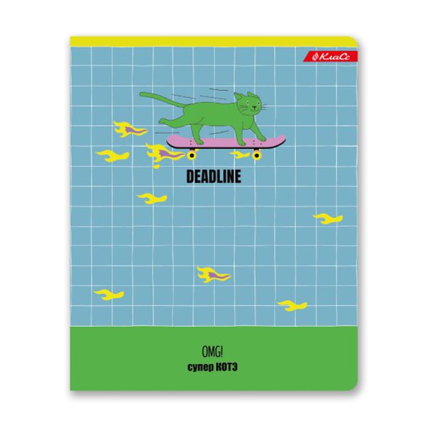 Тетрадь ученическая общая, матовая ламинация + выборочный УФ лак, A5+ 48 л. на скобе, белизна 100%, 10 шт, клетка, 000326 Суперкот, Светоч 48ТСК5_24_3_1