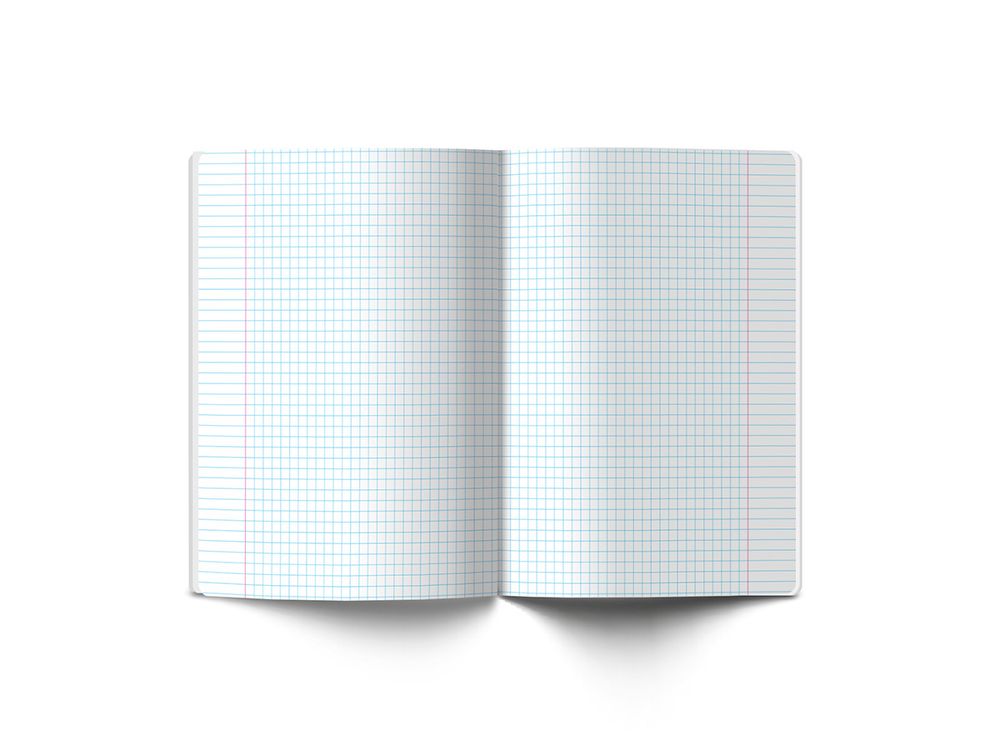 Тетрадь со справочным материалом Полёт идей, A5+ 48 л. на скобе 60 г/м², белизна 90%, 10 шт, клетка, 000490 Алгебра, Светоч 48ТПСКп5_0_2_1