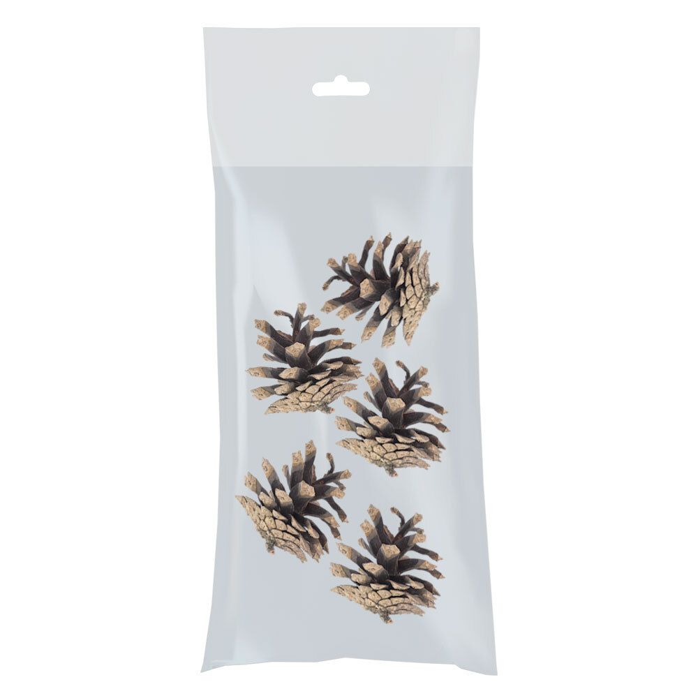 Шишки, 5 шт, 01 Сосна, Blumentag PIF-01