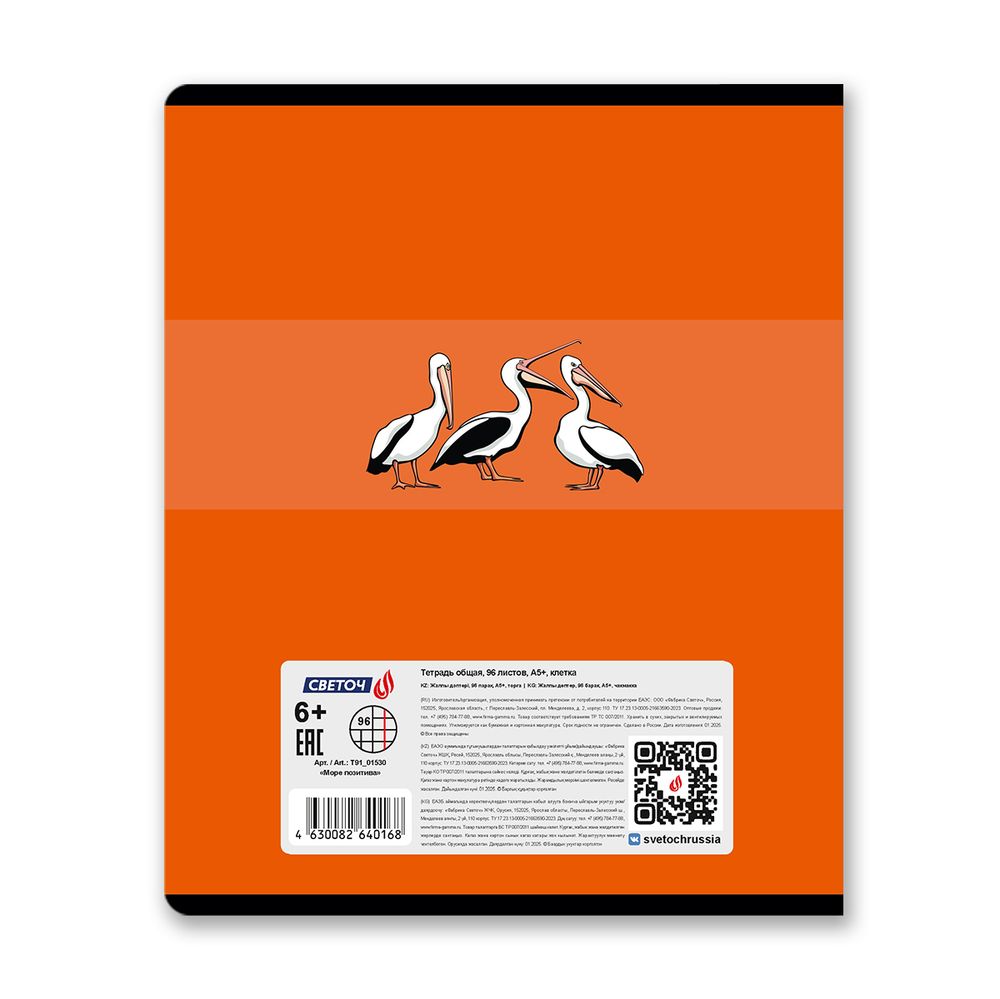 Тетрадь ученическая общая, A5 96 л. на скобе 65 г/м², белизна 100% 5 шт клетка, 01530 Море позитива, Светоч Т91