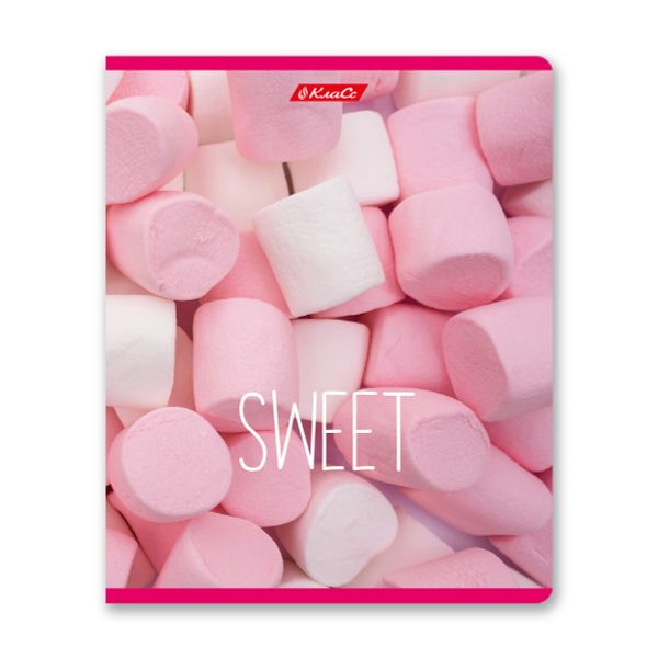 Тетрадь ученическая общая, A5+ 48 л. на скобе 65 г/м², белизна 100%, 10 шт, линия в термоусадочной пленке, 000309 Сластёна, Светоч 48ТСК5_1_3_2