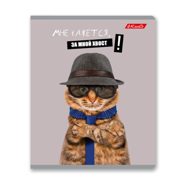 Тетрадь ученическая общая, A5+ 48 л. на скобе 65 г/м², белизна 100%, 10 шт, клетка в термоусадочной пленке, 000752 Смешные и шерстяные, Светоч 48ТЕТк-001