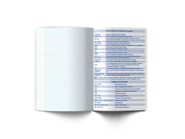 Тетрадь со справочным материалом Доска желаний, A5+ 48 л. на скобе 60 г/м², белизна 90%, 10 шт, клетка, 000520 Информатика, Светоч 48ТПСКд5_0_2_1