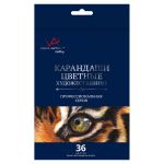 Набор цветных карандашей заточенный 4х36 цв, Vista-Artista Gallery VGCP-36