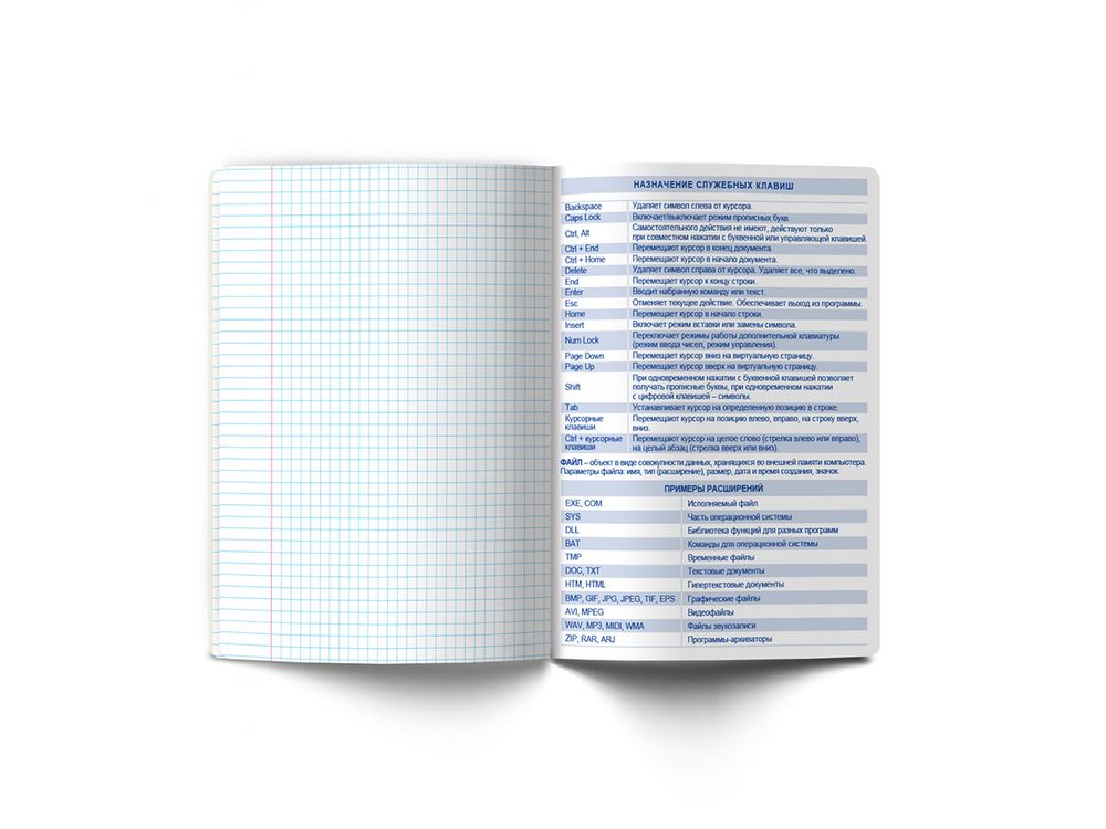 Тетрадь со справочным материалом Без фильтров, A5+ 48 л. на скобе 60 г/м², белизна 90%, 10 шт, клетка, 00849 Информатика, Светоч 48Т1