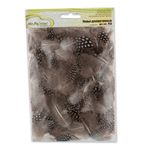 Перья декоративные 4-6 см, 5х3 г,±0.5 г, 03 белый/ черный, Mr.Painter