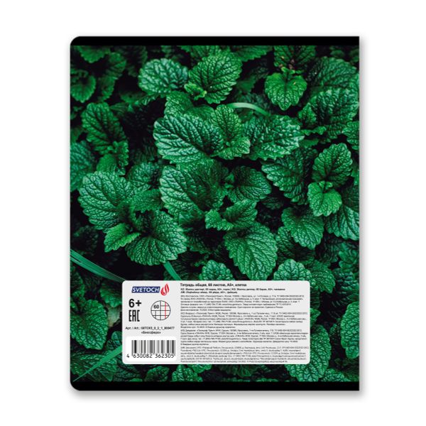 Тетрадь ученическая общая, твин лак, A5+ 60 л. на скобе 65 г/м², белизна 100%, 10 шт, клетка в термоусадочной пленке, 000477 Биосфера, Светоч 60ТСК5_8_2_1