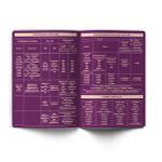 Тетрадь со справочным материалом Лёгким почерком, софт-тач ламинация, A5 48 л. на скобе 65 г/м², белизна 100% 10 шт линия, 01846 Лёгким почерком Русский язык, Светоч Т285