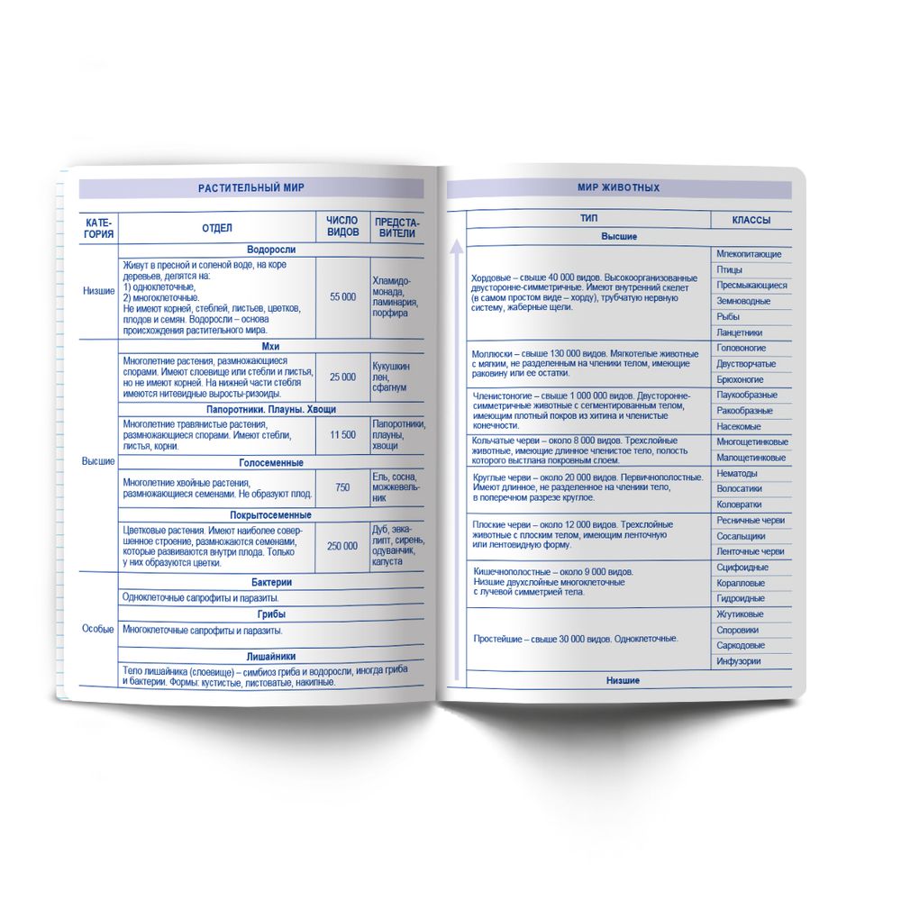 Тетрадь со справочным материалом Кристалл тайного, глянц.ламинация, A5 48 л. на скобе 65 г/м², белизна 100% 10 шт клетка, 01825 Кристалл тайного Биология, Светоч Т282