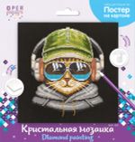 Алмазная (кристальная) мозаика Фрея, постер Кот- меломан, 30х30 см
