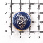 Пуговицы на ножке 34L (21мм), пластик (g.blue (синий/золото)), 36 шт, PS39