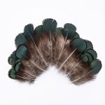 Перо фазана обработанное, 7-10см, 20 шт, XQ-660381