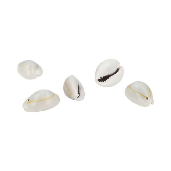 Ракушки декоративные 20х10 мм, 100 г (5х20 г), №01 натуральный, Zlatka D20-31