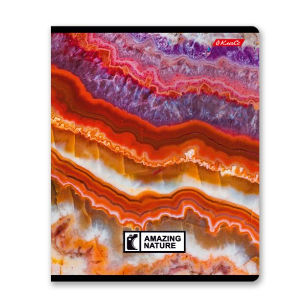 Тетрадь ученическая общая, твин лак, A5+ 60 л. на скобе 65 г/м², белизна 100%, 10 шт, клетка в термоусадочной пленке, 000477 Биосфера, Светоч 60ТСК5_8_2_1