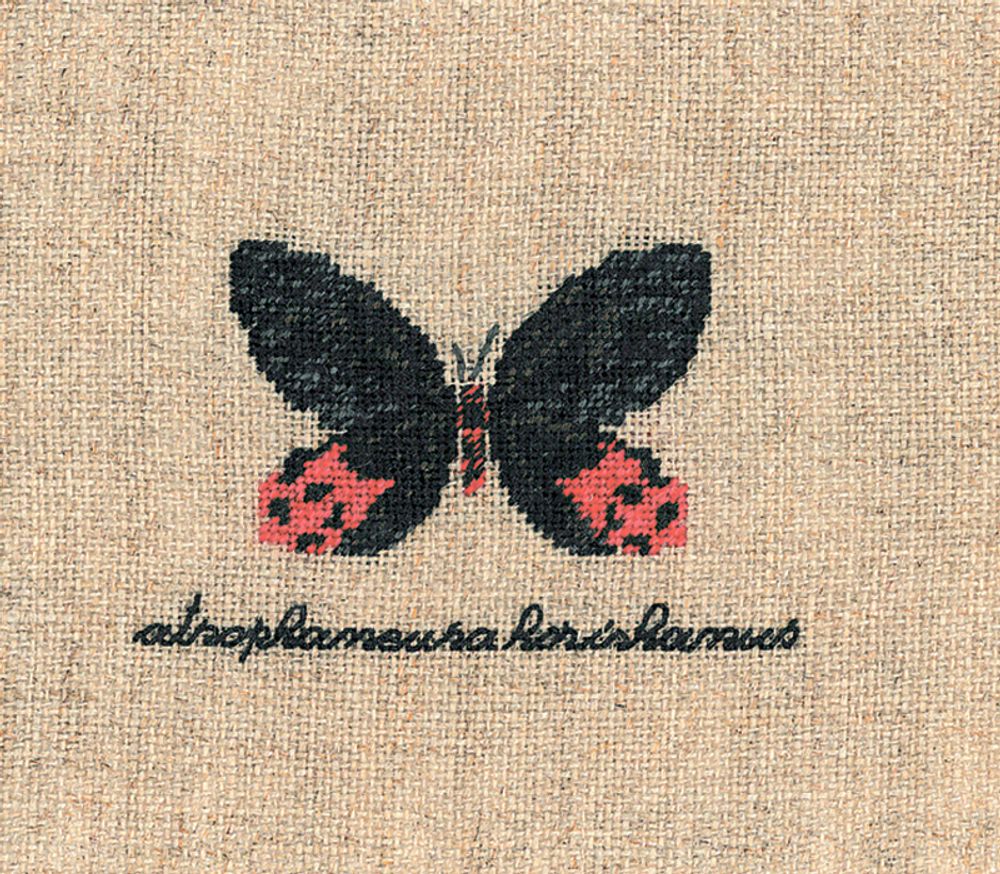 Le Bonheur des Dames, Papillon: Atrophaneura (Бабочка Atrophaneura), 4,5х6 см